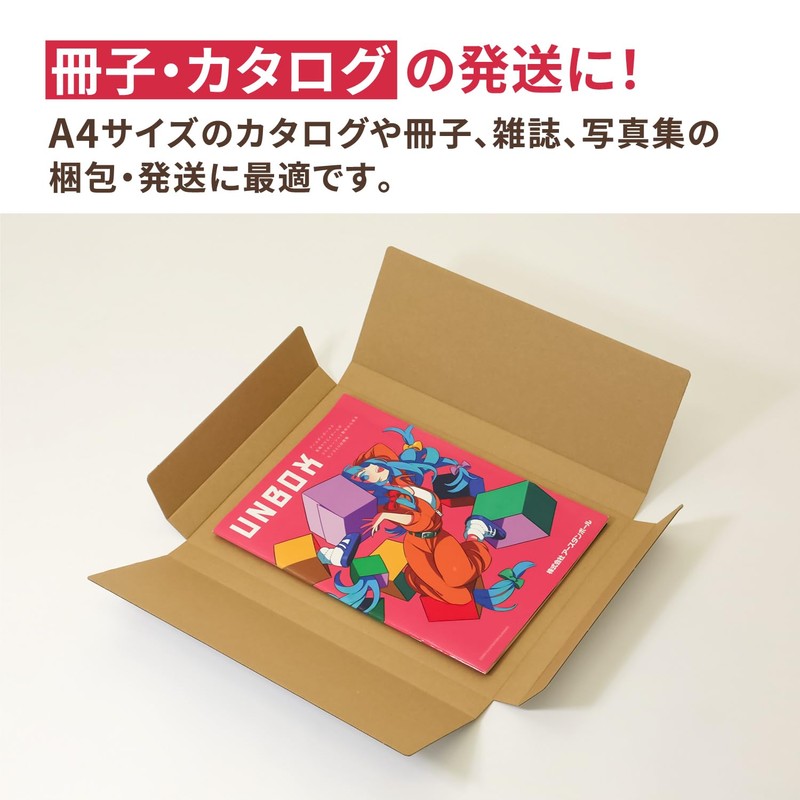 Earth Cardboard Click Post ID0783 Maximum Size A4 3cm Box