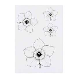 4 x 'Single Daffodil ' Temporary Tattoos - Water Resistant, Skin-Safe, Non-Toxic Transfers, Mixed Sizes (TO00082800)