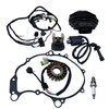 Main Electrical Wiring Wire Harness& Stator & Starter Relay Fits
