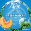 Air Wick Aromatizante de Ambiente Continuo, Fresh Waters, 5 repuestos