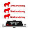 Shetland Pony Mini Horse Sticker Set of 3 Horse Riding