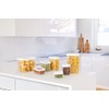 Emsa N11427 Optima 3-Piece Dry Storage Container Set, 0.45/1/1.6 Litres,