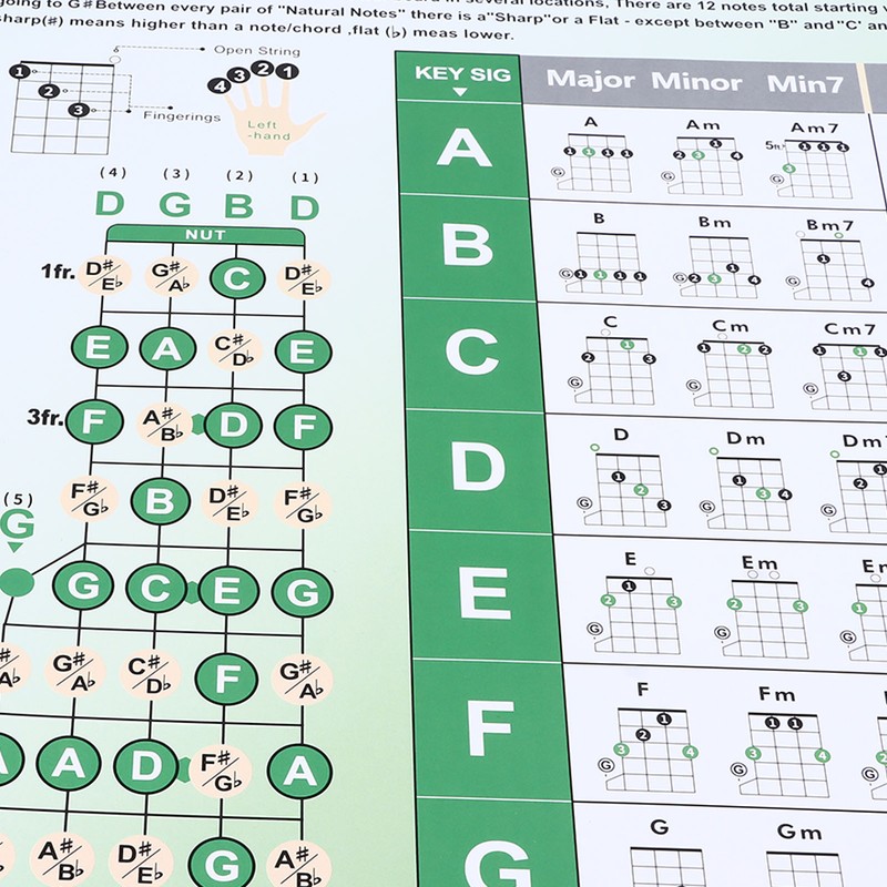 Banjo Chord Chart Feature and Tune Fingering Poster Coated Paper
