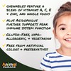 NaturesPlus Animal Parade Source of Life Kids Immune Booster Chewable