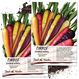 Seed Needs, Kaleidoscope / Rainbow Blend Carrot Seeds for Planting - Twin Pack of 800 Seeds Each - Heirloom, Non-GMO & Untreated