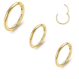 BeutiLakoko Nose Hoop Hypoallergenic Titanium Nose Rings for Women Men Septum Jewelry Hinged Cartilage Earring Hoop for Nostril Helix Tragus Daith Conch Lip Rings Rook Ear Lobe Piercings Gold/Silver 20G/8mm 18G/8/10mm (Golden nose ring, 20G8mm/18G8mm/10m