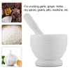 Grinding Set - VIFER Plastic Manual Mortar Pestle Set Garlic