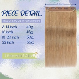 TESS Clip In Hair Extension Blonde,Hair Extensions Real Human Hair One Peice 5 Clips Straight Natural Hairpieces for Womens/Girls(#27 Dark Blonde,12Inch)