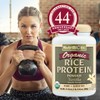 NutriBiotic, Organic Rice Protein, Vanilla, 1 lb 5 oz (600