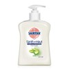 Sagrotan Aloe Vera Hand Soap Liquid Soap, 1-Pack, 250 ml
