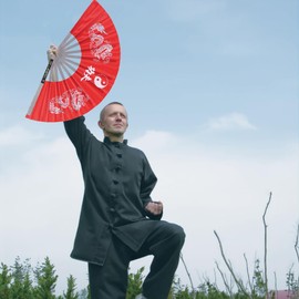Practice Training Performance Tai Chi Fan, Double Dragon Hand Fan Chinese Folding Fan Kung Fu Hand Held Folding Chinese Embroidery Martial Arts Fan for Dance Fighting Festival Wall Decorations(red)