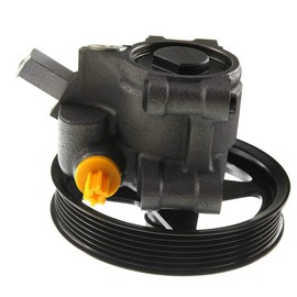 1pc Power Steering Pump Iron with Pulley for Ford for Crown Victoria 4.6L 1999-2002 for F150 4.2L 1997-2003 & 4.6L/5.4L 2002-2003 for F150 4.6L/5.4L 2002-2003 O-Ring-Hose Port Type WEF1709