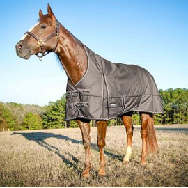 Jeffers Poplar Head Defense 1680 Denier Turnout Blanket with Extended Neck Design, Plymouth Brown 72"- 240g Polyfill, Waterproof, Breathable Horse Blanket, Ideal Protection for Winter, Medium Weight