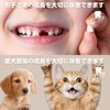 UNiELEMENT Baby Teeth Case, Wooden Baby Tooth Case, Pets, Compact,