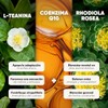 Rhodiola Rosea 90 Cápsulas, Adaptógeno para 1.5 Meses Nootropico Homodeus