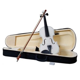 Unbranded High Quality 4/4 Full-Size Acoustic Violin Fiddle with Violin Case Bow Rosin USA - 🤍White
