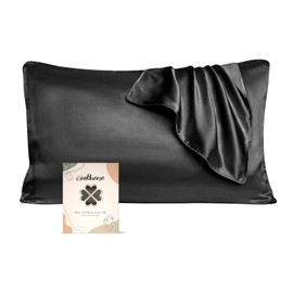 iCooBreeze Silk Pillowcases 100% Mulberry Silk Double Sided, Real Silk Pillow Case for Hair and Skin, Pillow Cover with Hidden Zipper (Black, Standard(20''x26'') 1 Pack)