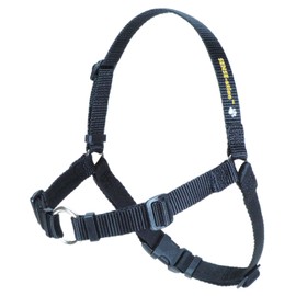 Softouch Concepts Sense-ation No-Pull Dog Harness - Black Medium/Large (Narrow)