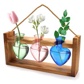 Solaradgy Plant Propagation Station, Propagation Vases for Plants with Wood Stand Heart Shape Glass Planters for Indoor Plants Gifts for Women Plant Lover with a Lanyard