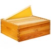 Honey Lake 10 Frame Assembled Bee Hive Super Box, Langstroth