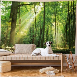 Skcess Tapestry Nature Forest Tapestry, Wall Towel Tree Sunrise Tapestry Wall Hanging Jungle Wall Decoration for Bedroom Living Room 240 x 220 cm