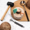 SIRFUNCO Young Coconut Opener Bundle
