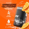EFX Sports Aminozorb Elite 21 | PH-Correct, Full Spectrum Aminos