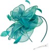 DRESHOW Fascinators Hat Tea Party Headwear Ribbons Feathers on a
