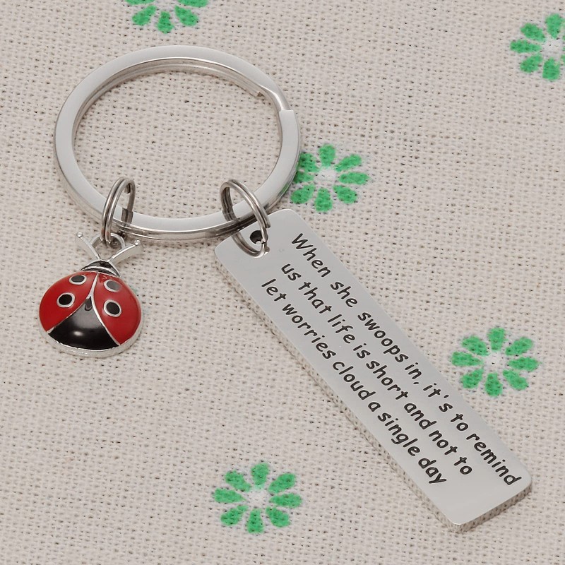 AHAETH Ladybug Gifts Keychain Ladybug Jewelry for Women When She