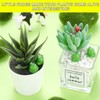 EKisemio 50 Pcs Mini Frog Garden Decor | Green Frog