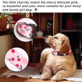 QQPETS Adjustable Soft Dog Collar: Print Flower Pink Multicolor Cute Patterns for XS Small Medium Large Pet Girl Boy Puppy Walking Running Training (XS, Sakura Pink)