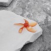 Briny River 4 Pcs Orange 5 Blade Drone Propeller with