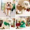 ANIAC Dog Christmas Cape Coat with D-Ring Cat Santa Costume