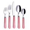 ANNOVA Silverware Set 20 Pieces Stainless Steel Cutlery Color Handle