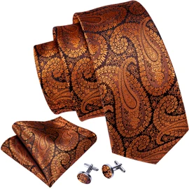 Barry.Wang Terracotta Black Tie for Men Paisley Silk Necktie Pocket Square Cufflinks Formal Wedding Party Business