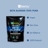 Beta Alanina 400 Gr 160 Porciones Wellthy