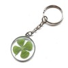 Good Luck Keyring with Real Pressed Four Leaf Clover. New