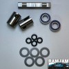 Arrma Fireteam 6s Titanium Center Spool