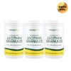 2+1 Nature's Plus Natural Soy Lecithin Granules 337.5g, 3 pcs / 2+1 네이처스플러스 천연 대두 레시틴 과립 337.5g, 3개