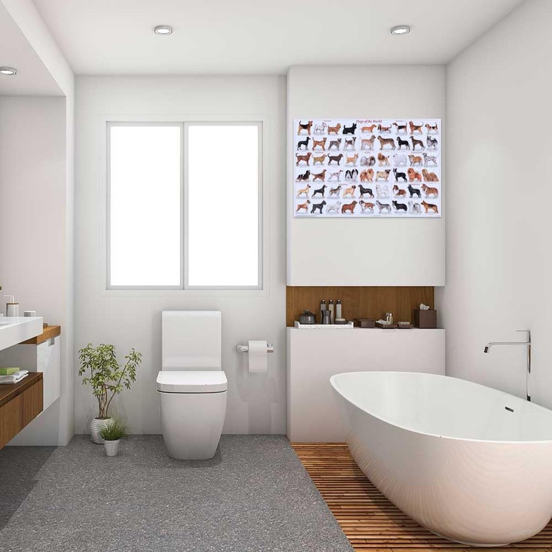 (24x36) Laminated Dogs of the World Educational Animal Chart Poster