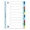 Elba Plastic Register Strong Line Blank, 10 Sheets 1 Register