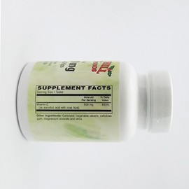 Holly Hill Health Foods, C-500 MG with Rose Hips, 100 Vegetarian Tablets