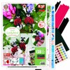 Karen Marie Little Ladybird Quilling Kit