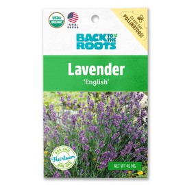 Seed Packet - Lavender 'English'