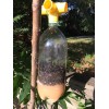 Flies Be Gone THE MONSTER Reusable Non-Toxic Soda Bottle Fly