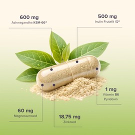 Ashwagandha KSM66 Root Extract with Magnesium, Zinc and Vitamin B6 - 120 Vegan Capsules, High Dosage, Organic Quality, Stress Management
