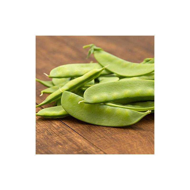 Dwarf Sugar Grey Snow Pea Garden Seeds - 5 Lbs
