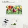 10 Inch Digital Picture Frame HD Intelligent Remote Control Video