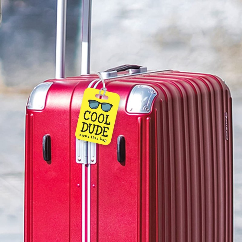 LT148 Cool Dude Owns This Bag Novelty Funny Unique Designer