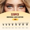 QUEWEL DIY Lash Extension Kit,320 Pcs Lash Clusters Kit 40D